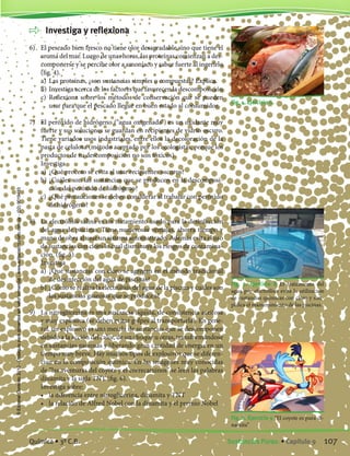 Investiga y reflexiona
6)	 El pescado bien fresco no tiene olor desagradable sino que tiene el
aroma del mar. Luego de unas horas, las proteínas comienzan a des-
componerse y se percibe olor a amoníaco y sabor fuerte al ingerirlo
(fig. 4).
	 a)	 Las proteínas, ¿son sustancias simples o compuestas? Explica.
	 b)	Investiga acerca de los factores que favorecen la descomposición
	 c)	 Reflexiona sobre los métodos de conservación que se pueden
usar para que el pescado llegue en buen estado al consumidor.
7)	 El peróxido de hidrógeno (“agua oxigenada”) es un oxidante muy
fuerte y sus soluciones se guardan en recipientes de vidrio oscuro.
Tiene variados usos industriales, entre ellos la decoloración de la
pasta de celulosa (método aceptado por los ecologistas, porque los
productos de su descomposición no son tóxicos).
	 Investiga
	 a)	 ¿Qué proceso se evita al usar recipientes oscuros?
	 b)	¿Cuáles son las sustancias que se producen en la descomposi-
ción del peróxido de hidrógeno?
	 c)	 ¿Qué precauciones se deben considerar al trabajar con peróxido
de hidrógeno?
8)	 La electrólisis salina es un tratamiento usado para la desinfección
del agua de piscinas. Tiene numerosas ventajas, ahorra tiempo y
mano de obra al usar un sistema automatizado. Además evita el uso
de sustancias con cloro lo cual disminuye los riesgos de contamina-
ción. (fig. 5).
	 Investiga
	 a)	 ¿Qué sustancias con cloro se agregan en el método tradicional
de desinfección del agua de piscinas?
	 b)	¿Cómo se realiza la electrólisis del agua de la piscina y cuáles son
las sustancias gaseosas que se producen?
9)	 La nitroglicerina es una sustancia líquida, de consistencia aceitosa
y muy explosiva (se deben evitar golpes al transportarla). En gene-
ral, un explosivo es una mezcla de sustancias que se descomponen
debido a la acción del calor, de un choque u otras, transformándose
en sustancias gaseosas y liberando gran cantidad de energía en un
tiempo muy breve. Hay muchos tipos de explosivos que se diferen-
cian en la composición química. En las imágenes muy conocidas
de “las aventuras del coyote y el correcaminos” se leen las palabras
dinamita y la sigla TNT (fig. 6).
	 Investiga sobre:
	 •	 la diferencia entre nitroglicerina, dinamita y TNT
	 •	 la relación de Alfred Nobel con la dinamita y el premio Nobel
Fig. 5. Ejercicio 8 El tratamiento del
agua por electrólisis evita la utilización
de sustancias químicas con cloro y sim-
plifica el mantenimiento de las piscinas.
Fig. 4. Ejercicio 6.
Fig. 6. Ejercicio 9 “El coyote es pura di-
namita”
107Sustancias Puras. • Capítulo 9Química • 3º C.B.
©EditorialContexto2010-Obsequioparadocentessinvalorcomercial-www.editorialcontexto.com.uy-(02)9019493
 