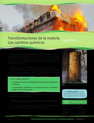 Transformaciones de la materia
Los cambios químicos
Capítulo 11
En nuestra vida cotidiana, presenciamos, casi sin darnos cuenta, nu-
merosos cambios químicos. En la mayoría de los procesos biológicos,
en la elaboración de alimentos, en la corrosión de metales, en la de-
gradación de otros materiales. se evidencian cambios al transformarse
unas sustancias en otras.
En todos estos casos se modifica la composición de la materia.
Los procesos de descomposición (termólisis, electrólisis) ya estudia-
dos, son ejemplos de cambios químicos; las propiedades de la sustancia
inicial y de las sustancias formadas son diferentes (fig. 1).
En los cambios químicos:­
•	 se llaman reactivos a las sustancias presentes inicialmente en
el sistema
•	 se denominan productos a las sustancias que se obtienen
luego de la transformación
En el cuadro se detallan los reactivos y productos en los procesos de
descomposición ya estudiados.
¿Cómo se pueden reconocer los cambios químicos?
Analizaremos otros fenómenos químicos con la finalidad de identi-
ficar las modificaciones observables que los acompañan.
Un cambio químico es una
transformación que modifica
la composición de la materia.
CAMBIOS
QUIMICOS
REACTIVOS PRODUCTOS
TERMÓLISIS
DE
SACAROSA
sacarosa
carbón
y otras
sustancias
ELECTRÓLISIS
DEL AGUA
agua
dihidrógeno
y dioxígeno
Fig. 1. Cambio químico: deterioro de un
tanque de agua
127Transformaciones de la materia. Los cambios químicos. • Capítulo 11Química • 3º C.B.
©EditorialContexto2010-Obsequioparadocentessinvalorcomercial-www.editorialcontexto.com.uy-(02)9019493
 