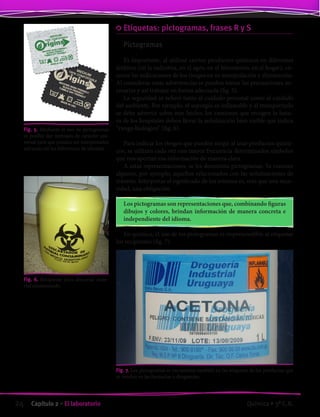 Etiquetas: pictogramas, frases R y S
Pictogramas
Es importante, al utilizar ciertos productos químicos en diferentes
ámbitos (en la industria, en el agro, en el laboratorio, en el hogar), co-
nocer las indicaciones de los riesgos en su manipulación y eliminación.
Al considerar estas advertencias se pueden tomar las precauciones ne-
cesarias y así trabajar en forma adecuada (fig. 5).
La seguridad se refiere tanto al cuidado personal como al cuidado
del ambiente. Por ejemplo, el supergás es inflamable y al transportarlo
se debe advertir sobre este hecho; los camiones que recogen la basu-
ra de los hospitales deben llevar la señalización bien visible que indica
“riesgo biológico” (fig. 6).
Para indicar los riesgos que pueden surgir al usar productos quími-
cos, se utilizan cada vez con mayor frecuencia determinados símbolos
que nos aportan esa información de manera clara.
A estas representaciones, se les denomina pictogramas. Ya conoces
algunos, por ejemplo, aquellos relacionados con las señalizaciones de
tránsito. Interpretar el significado de los mismos es, más que una nece-
sidad, una obligación.
Los pictogramas son representaciones que, combinando figuras
dibujos y colores, brindan información de manera concreta e
independiente del idioma.
En química, el uso de los pictogramas es imprescindible al etiquetar
los recipientes (fig. 7).
Fig. 7. Los pictogramas se encuentran también en las etiquetas de los productos que
se venden en las farmacias o droguerías.
Fig. 5. Mediante el uso de pictogramas
es posible dar mensajes de carácter uni-
versal para que puedan ser interpretados
salvando así las diferencias de idiomas.
Fig. 6. Recipiente para descartar mate-
rial contaminado.
24 Capítulo 2 • El laboratorio Química • 3º C.B.
©EditorialContexto2010-Obsequioparadocentessinvalorcomercial-www.editorialcontexto.com.uy-(02)9019493
 