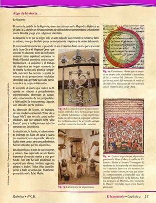 Algo de historia…
La Alquimia
El punto de partida de la Alquimia parece encontrarse en la Alejandría Helénica en
el siglo I a.C. donde un elevado número de aplicaciones experimentales se fundieron
con la filosofía griega y las religiones orientales.
La Alquimia no es por su origen solo un arte aplicado que ennoblece metales y fabri-
ca colores, sino que también posee un componente religioso y de visión del mundo.
El proceso de trasmutación, a pesar de no ser el objetivo final, es una parte esencial
de la Gran Obra -el Magnum Opus- que
consiste en alcanzar tanto la perfección
material como espiritual; encontrar la
Piedra Filosofal permitiría ambas trans-
formaciones. La Alquimia y el trabajo
del alquimista, en ningún momento de
la historia ha sido una práctica compar-
tida, más bien fue secreta y oculta de
manera de no proporcionar resultados
obtenidos para permitir que cada perso-
na realice su propia sublimación.
Es increíble el aporte que realizó la Al-
quimia en relación a procedimientos
experimentales, obtención de sustan-
cias, conocimiento de sus propiedades
y fabricación de instrumentos, algunos
aún utilizados por la Química.
La obtención de licores, de brebajes,
de una medicina universal (“Elixir de la
Larga Vida”) que no solo curara enfer-
medades, sino que también diera “Vida
Eterna”, puso a la Alquimia en estrecho
contacto con la Medicina.
La destilación, la fusión, el calentamien-
to indirecto en baño de agua o María
(su inventora, una alquimista: María la
Judía) entre tantos otros procedimientos
fueron utilizados por los alquimistas.
Los alquimistas a través de sus imágenes
y colores, han expresado de una forma
ingeniosa el mundo interior y más pro-
fundo. Este arte ha sido practicado en
especial por chinos, hindúes, egipcios,
griegos y árabes. Todos ellos contribu-
yeron a darle la forma que, finalmente,
presentaba en la Edad Media.
Fig. 13. Laboratorio de alquimistas.
Fig. 12. Esta reja de hierro forjado mues-
tra los símbolos de la farmacia que desde
la cultura babilónica se han mantenido
hasta nuestros días: la copa que contiene
los medicamentos y la serpiente sagrada
que les confiere la fuerza de curación.
Fig. 11. Ouroboros, víbora que se muer-
de su propia cola, simboliza la naturaleza
cíclica y eterna del Universo. El colori-
do forma parte del mensaje: el verde es
el color de la iniciación; el rojo se asocia
con el objetivo de la Gran Obra.
Fig. 14. Cuatro importantes alquimistas
presiden la Obra: Geber, Arnaldo de Vi-
llanova, Rhasis y Hermes Trismegisto. El
ayudante de la izquierda está machacan-
do la materia bruta en un mortero; los
dos del medio controlan para que absor-
ba continuamente la humedad que ella
misma desprende; el de la derecha, bajo
los auspicios de Hermes, está “cociendo
lo blanco” repetidas veces para hacerlo
germinar.
27El laboratorio • Capítulo 2Química • 3º C.B.
©EditorialContexto2010-Obsequioparadocentessinvalorcomercial-www.editorialcontexto.com.uy-(02)9019493
 