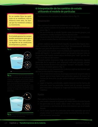 Fig. 4. Las partículas de la superficie es-
tán solo atraídas por las partículas del
interior del líquido, por lo tanto logran
separarse si adquieren suficiente energía
para vencer las fuerzas de atracción.
El resto de las partículas, las que se en-
cuentran en el interior del líquido, están
atraídas en todas direcciones por otras
partículas.
Fig. 5. Representación de la evaporación
con el modelo de partículas.
Fig. 3. Gas y vapor.
En el estado gaseoso los cuerpos
pueden presentarse como gas o
como vapor. Para cada sustan-
cia depende de las condiciones
de temperatura y presión.
Fig. 2. Cambio físico y el modelo de par-
tículas.
En un cambio físico las partí-
culas no se modifican; varía la
distancia entre ellas, las fuer-
zas que las mantienen unidas y
su movimiento.
	Interpretación de los cambios de estado
utilizando el modelo de partículas
Analizaremos dos ejemplos de cambios físicos (fig. 2).
Evaporación
Para explicar la evaporación tendremos en cuenta que:
•	 este cambio consiste en el pasaje del estado líquido al estado ga-
seoso (fig. 3)
•	 las partículas en el estado líquido están formando grupos y se
mantienen unidas mediante fuerzas de atracción
•	 las partículas en el estado gaseoso están en continuo movimiento
y casi no existen fuerzas de atracción entre ellas
¿Cómo explicar que en el estado líquido, las partículas logran sepa-
rarse venciendo las atracciones entre ellas? Necesariamente debemos
suponer que para ello absorben energía (fig. 4).
¿Qué partículas tendrán mayor facilidad para separarse del resto sa-
liendo del líquido?. Es razonable pensar que las partículas que están en
la superficie del líquido tienen mayor facilidad para “salir”, que las ubi-
cadas en el interior del mismo.
Uniendo ambas respuestas surge una posible explicación: algunas
partículas de la superficie, que adquieren suficiente energía, pueden
vencer las fuerzas de atracción logrando “escapar” del líquido. Así pa-
san a formar el estado gaseoso (fig. 5).
Basándonos en ese razonamiento podemos explicar los factores que
afectan la velocidad de evaporación:
•	 si la temperatura aumenta, la energía cinética de las partículas es
mayor; por lo tanto habrá más partículas capaces de vencer las
fuerzas de atracción, ya que poseen energía suficiente para lo-
grarlo.
•	 según el líquido considerado, cuánto menores son las fuerzas de
atracción entre las partículas, menor será la energía necesaria
para vencerlas y el líquido se evaporará más fácilmente (líquidos
volátiles).
Fusión
Para explicar la fusión tendremos en cuenta que:
•	 este cambio consiste en el pasaje del estado sólido al estado líquido
•	 las partículas en el estado sólido están muy juntas, con escaso
movimiento y con fuerzas de atracción mayores que en el estado
líquido
•	 en el estado líquido las partículas están más separadas que en el
estado sólido y se mantienen unidas mediante fuerzas de atrac-
ción de menor intensidad
Representa fuerza de atracción
46 Capítulo 3 • Transformaciones de la materia. Química • 3º C.B.
©EditorialContexto2010-Obsequioparadocentessinvalorcomercial-www.editorialcontexto.com.uy-(02)9019493
 