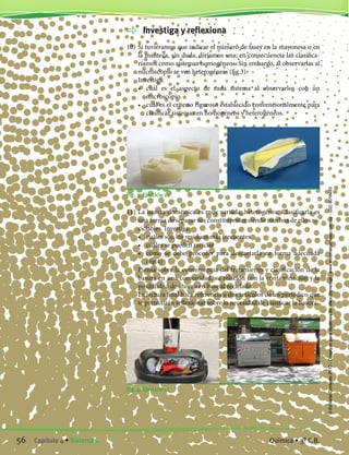 Investiga y reflexiona
10)	Si tuviéramos que indicar el número de fases en la mayonesa o en
la manteca, sin duda, diríamos una; en consecuencia las clasifica-
ríamos como sistemas homogéneos. Sin embargo, al observarlas al
microscopio se ven heterogéneas (fig.3).
	 Investiga:
	 •	 cuál es el aspecto de cada sistema al observarlos con un
microscopio.
	 •	 cuál es el criterio riguroso establecido convencionalmente para
clasificar sistemas en homogéneos y heterogéneos.
11)	La basura doméstica es muy variada, heterogénea. Clasificarla es
una forma de separar sus constituyentes siendo muchos de ellos re-
ciclables. Investiga:
	 •	 cuáles son los residuos más frecuentes
	 •	 cuáles se pueden reciclar
	 •	 cómo se debe proceder para descartarla en forma adecuada
(fig.4)
	 Piensa sobre la conveniencia del tratamiento y clasificación de la
basura en una comunidad, su relación con la contaminación y la
posibilidad de ahorro en base al reciclado.
	 La lectura final hace referencia a dos artículos de un periódico que
te permitirán reflexionar sobre la necesidad de clasificar la basura.
Fig. 4. Ejercicio 11
Fig. 3. Ejercicio 10
56 Capítulo 4 • Sistemas. Química • 3º C.B.
©EditorialContexto2010-Obsequioparadocentessinvalorcomercial-www.editorialcontexto.com.uy-(02)9019493
 