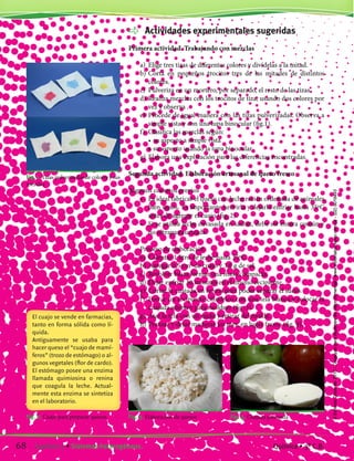 Fig. 1. Tizas pulverizadas de colores y sus
mezclas
Fig. 2. Cuajo para preparar quesos.
El cuajo se vende en farmacias,
tanto en forma sólida como lí-
quida.
Antiguamente se usaba para
hacer queso el “cuajo de mamí-
feros” (trozo de estómago) o al-
gunos vegetales (flor de cardo).
El estómago posee una enzima
llamada quimiosina o renina
que coagula la leche. Actual-
mente esta enzima se sintetiza
en el laboratorio.
	 Actividades experimentales sugeridas
Primera actividad. Trabajando con mezclas
	 a)	 Elige tres tizas de diferentes colores y divídelas a la mitad.
	 b)	Corta en pequeños trocitos tres de las mitades de distintos
colores.
	 c)	 Pulveriza en un mortero, por separado, el resto de las tizas.
	 d)	Realiza mezclas con los trocitos de tiza, usando dos colores por
vez y observa .
	 e)	 Procede de igual manera con las tizas pulverizadas. Observa a
simple vista y con una lupa binocular (fig.1).
	 f)	 Clasifica las mezclas según:
		 •	su aspecto a simple vista
		 •	su aspecto usando la lupa binocular
	 g)	Elabora una explicación para las diferencias encontradas.
Segunda actividad. Elaboración artesanal de queso fresco
	
Algunos consejos previos
	 •	 Es ideal fabricar el queso con leche recién ordeñada de animales
bien sanos. Es importante hervirla y dejarla enfriar hasta 35ºC
antes de agregar el cuajo (fig. 2).
	 •	 Si se utiliza leche envasada en sachet, debe ser entera común y
no ultrapasteurizada.
	 Proceso de elaboración
	 a)	 Calentar 1 litro de leche hasta 35ºC.
	 b)	Agregar 0,5 cm3
de cuajo y 3,0 g de sal.
	 c)	 Revolver hasta formar una masa compacta.
	 d)	Dejar enfriar 30 minutos en el mismo recipiente.
	 e)	 Cortar la cuajada en trozos para poder separar el suero.
	 f)	 Forrar un recipiente cilíndrico con una tela blanca y colocar la
cuajada adentro para moldear (fig .3).
	 g)	Atar la tela con un nudo y retirar del molde.
	 h)	Prensar y dejar madurar un mes, en lugar fresco (fig. 4).
Fig. 3. Elaboracion de quesos Fig. 4. Cuajada prensada
68 Capítulo 5 • Sistemas heterogéneos. Química • 3º C.B.
©EditorialContexto2010-Obsequioparadocentessinvalorcomercial-www.editorialcontexto.com.uy-(02)9019493
 