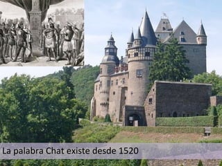 La	
  palabra	
  Chat	
  existe	
  desde	
  1520	
  
 