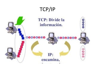 TCP/IP	
  
 
