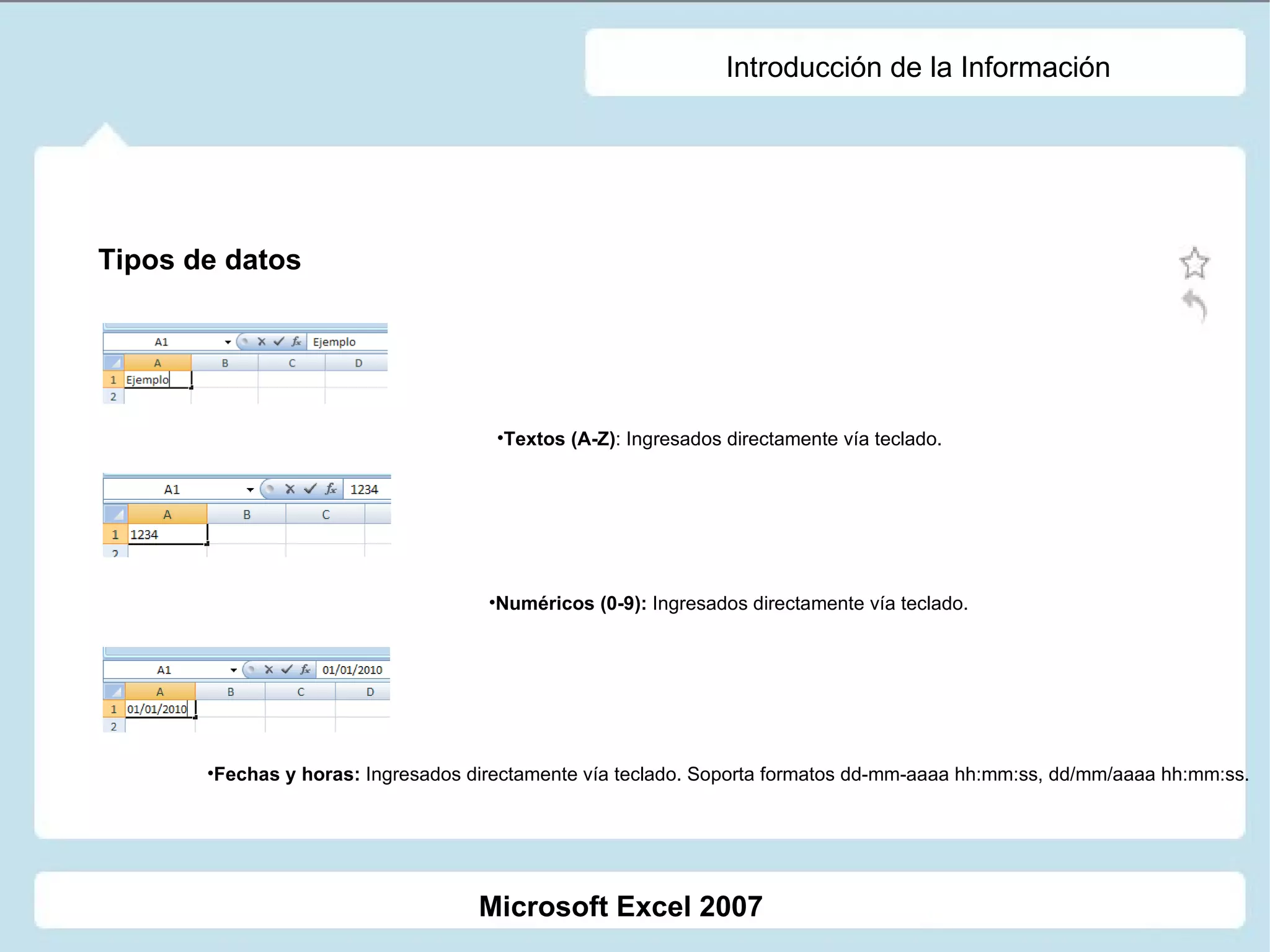 Introducción de la Información Textos (A-Z) : Ingresados directamente vía teclado. Numéricos (0-9):  Ingresados directamente vía teclado. Fechas y horas:  Ingresados directamente vía teclado. Soporta formatos dd-mm-aaaa hh:mm:ss, dd/mm/aaaa hh:mm:ss. Tipos de datos Microsoft Excel 2007 