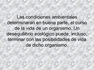 Las condiciones ambientales determinaran en buena parte, el curso de la vida de un organismo. Un desequilibrio ecológico puede, incluso, terminar con las posibilidades de vida de dicho organismo. 