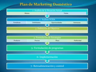 Plan de Marketing Doméstico 