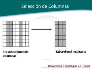 Selección de Columnas
 