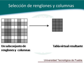 Selección de renglones y columnas
 