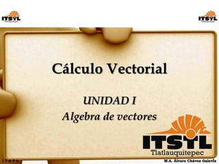 Cálculo Vectorial

             UNIDAD I
         Algebra de vectores


ITSTL                          M.A. Álvaro Chávez GalavÍz
 