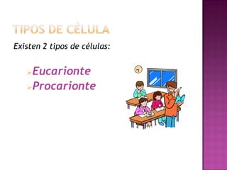 Existen 2 tipos de células:


    Eucarionte
    Procarionte
 