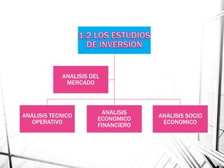 ANALISIS TECNICO
OPERATIVO
ANALISIS
ECONOMICO
FINANCIERO
ANALISIS SOCIO
ECONOMICO
ANALISIS DEL
MERCADO
 
