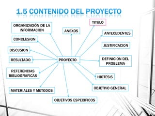PROYECTO
TITULO
ANTECEDENTES
JUSTIFICACION
DEFINICION DEL
PROBLEMA
HIOTESIS
OBJETIVO GENERAL
OBJETIVOS ESPECIFICOS
MATERIALES Y METODOS
REFERENCIAS
BIBLIOGRAFICAS
RESULTADO
DISCUSION
CONCLUSION
ORGANIZACIÓN DE LA
INFORMACION ANEXOS
 