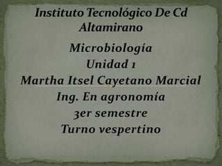 Microbiología
Unidad 1
Martha Itsel Cayetano Marcial
Ing. En agronomía
3er semestre
Turno vespertino
 