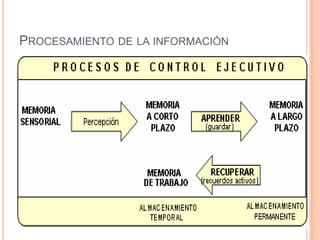 PROCESAMIENTO DE LA INFORMACIÓN
 