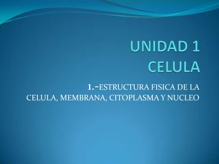 1.-ESTRUCTURA FISICA DE LA
CELULA, MEMBRANA, CITOPLASMA Y NUCLEO
 