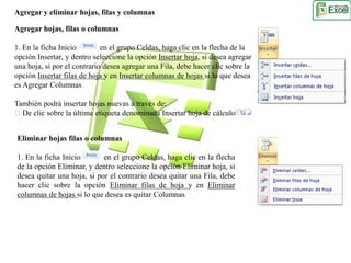Agregar y eliminar hojas, filas y columnas 
Agregar hojas, filas o columnas 
1. En la ficha Inicio en el grupo Celdas, haga clic en la flecha de la 
opción Insertar, y dentro seleccione la opción Insertar hoja, si desea agregar 
una hoja, si por el contrario desea agregar una Fila, debe hacer clic sobre la 
opción Insertar filas de hoja y en Insertar columnas de hojas si lo que desea 
es Agregar Columnas 
También podrá insertar hojas nuevas a través de: 
De clic sobre la última etiqueta denominada Insertar hoja de cálculo 
Eliminar hojas filas o columnas 
1. En la ficha Inicio en el grupo Celdas, haga clic en la flecha 
de la opción Eliminar, y dentro seleccione la opción Eliminar hoja, si 
desea quitar una hoja, si por el contrario desea quitar una Fila, debe 
hacer clic sobre la opción Eliminar filas de hoja y en Eliminar 
columnas de hojas si lo que desea es quitar Columnas 
 