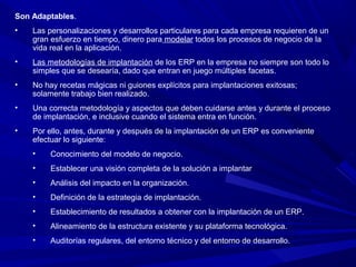 Sistema de planificacion recursos empresariales (erp)