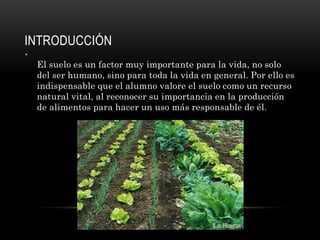 INTRODUCCIÓN
•
El suelo es un factor muy importante para la vida, no solo
del ser humano, sino para toda la vida en general. Por ello es
indispensable que el alumno valore el suelo como un recurso
natural vital, al reconocer su importancia en la producción
de alimentos para hacer un uso más responsable de él.
