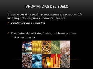 IMPORTANCIAS DEL SUELO
El suelo constituye el recurso natural no renovable
más importante para el hombre, por ser:
Productor de alimentos
Productor de vestido, fibras, maderas y otras
materias primas