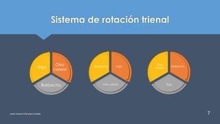Sistema de rotación trienal
Javier Anzano//Ciencias 2.0ciales 7
Otro
cereal
Barbecho
Trigo Trigo
Otro cereal
Barbecho Barbecho
Trigo
Otro
cereal
 