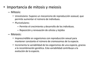 • Importancia de mitosis y meiosis
– Mitosis:
• Unicelulares: Supone un mecanismo de reproducción asexual, que
permite aumentar el número de individuos.
• Pluricelulares:
– Permite el crecimiento y desarrollo de los individuos.
– Reposición y renovación de células y tejidos
– Meiosis:
• Imprescindible en organismos con reproducción sexual para
mantener constante el número de cromosomas de la especie.
• Incrementa la variabilidad de los organismos de una especie, gracias
a la recombinación genética. Esta variabilidad contribuye a la
evolución de la especie.
 