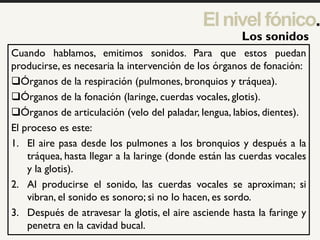 Elnivelfónico.
1
Cuando hablamos, emitimos sonidos. Para que estos puedan
producirse, es necesaria la intervención de los órganos de fonación:
Órganos de la respiración (pulmones, bronquios y tráquea).
Órganos de la fonación (laringe, cuerdas vocales, glotis).
Órganos de articulación (velo del paladar, lengua, labios, dientes).
El proceso es este:
1. El aire pasa desde los pulmones a los bronquios y después a la
tráquea, hasta llegar a la laringe (donde están las cuerdas vocales
y la glotis).
2. Al producirse el sonido, las cuerdas vocales se aproximan; si
vibran, el sonido es sonoro; si no lo hacen, es sordo.
3. Después de atravesar la glotis, el aire asciende hasta la faringe y
penetra en la cavidad bucal.
Los sonidos
 