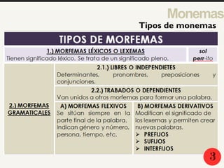 Monemas
Tipos de monemas
3
 