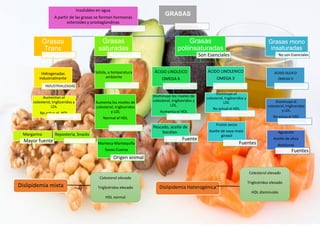 Insolubles en agua
A partir de las grasas se forman hormonas
esteroides y prostaglandinas
GRASAS
Grasas
Trans
Hidrogenadas
industrialmente
INDUSTRIALIZADAS
Aumentan el
colesterol, trigliceridos y
LDL
No actua el HDL
Margarina
Mayor fuente
Reposteria, Snacks
Grasas
saturadas
Sólida, a temperatura
ambiente
Aumenta los niveles de
colesterol, trigliceridos
y LDL
Normal el HDL
Manteca-Mantequilla
Sevos-Cueros
Origen animal
Grasas
poliinsaturadas
Son Esenciales
ÁCIDO LINOLEICO
OMEGA 6
Disminuye los niveles de
colesterol, trigliceridos y
LDL.
Aumenta el HDL
Pescado, aceite de
bacalao.
Fuente
ÁCIDO LINOLENICO
OMEGA 3
Disminuye el
colesterol, trigliceridos y
LDL
No actual el HDL
Frutos secos
Aceite de soya-maíz-
girasol
Fuentes
Grasas mono
insaturadas
No son Esenciales
ÁCIDO OLEICO
OMEGA 9
Disminuye el
colesterol, trigliceridos
y LDL
No actua el HDL
Aguacate
Aceite de oliva
Aceitunas
Fuentes
Dislipidemia mixta Dislipidemia Haterogénica
Colesterol elevado
Triglicéridos elevado
HDL normal
Colesterol elevado
Triglicéridos elevado
HDL disminuido
 