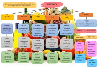 SODIO ZINCYODOPOTASIO
FUENTE:
Papaya, tomate
de árbol,
vegetales de
hojas verdes.
FUNCION:
Crecimiento del
organismo.
FUENTE:
Sal de mesa,
remolacha,
productos
enlatados
FUNCION:
Regulación de la
osmolaridad o
presión osmótica
DEFICIT:
Calambres
musculares.
Hipokalemia
DEFICIT:
Hiponatremia
(<135 mEq/dl),
convulsiones,
fatiga.
CALCIO
HIERRO
FUNCION:
Primordial para la
producción o
síntesis de
hormonas
tiroideas T3-T4..
FUENTE:
Sal yodada,
Mariscos, como
almejas,
langostas
DEFICIT:
Provoca el
agrandamiento
anormal de la
tiroides
FUNCION:
Funcionamiento
normal del
sistema
inmunitario
DEFICIT:
Pérdida de
cabello,
alteraciones en
el crecimiento.
FUENTE:
Harina integral
carne rojas,
mariscos
FUNCION:
Ayuda en la
construcción y
mantenimiento de
los huesos y dientes.
FUENTE:
Leche de vaca,
queso, yogurt,
aguas
embotelladas.
DEFICIT:
Osteoporosis,
raquitismo y
alteración de la
contracción
muscular.
FUNCION:
Interviene en el transporte de
oxigeno
HEMINICO
Origen animal
NO HEMINICO
Origen vegetal
Mejor
absorción
Biodisponibili
dad
Baja
disponibilidad
Se absorben
menos
Necesita
potencializad
o (vitamina C)
Hígado,
vísceras, carnes
rojas, yema de
huevo. Espinaca,
Nabo, Granos
secos
Son componentes esenciales vitales de toda célula viva y
se encuentran implicados en el metabolismo.
MINERALES
 