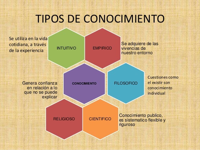 Que Es El Conocimiento Y Cuales Son Sus Tipos eroppa.com