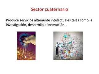 Sector cuaternario
Produce servicios altamente intelectuales tales como la
investigación, desarrollo e innovación.
 