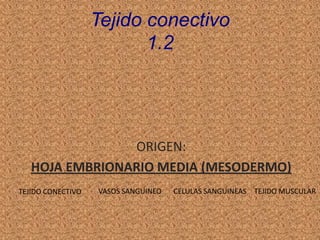 Tejido conectivo
                          1.2




                ORIGEN:
   HOJA EMBRIONARIO MEDIA (MESODERMO)
                   VASOS SANGUINEO   CELULAS SANGUINEAS TEJIDO MUSCULAR
TEJIDO CONECTIVO
 