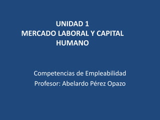 UNIDAD 1
MERCADO LABORAL Y CAPITAL
HUMANO
Competencias de Empleabilidad
Profesor: Abelardo Pérez Opazo
 