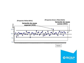 –
15—
–
10—
–
5—
–
0—
Intento
Tiempo
Variación de causa
común (VCC)
Variación de causa
especial (VCE)
(Proyectos Yellow Belts) (Proyectos Green / Black Belts)
 