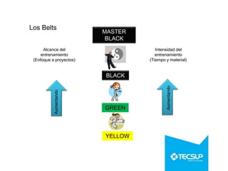 Los Belts
BLACK
GREEN
YELLOW
Intensidad del
entrenamiento
(Tiempo y material)
Alcance del
entrenamiento
(Enfoque a proyectos)
Aumentando
Aumentando
MASTER
BLACK
 