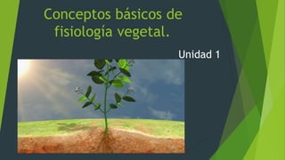 Conceptos básicos de
fisiología vegetal.
Unidad 1
 