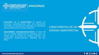 www.puceamazonas.edu.ec
Incremento en la productividad Al mejorar las
relaciones complementarias entre los componentes
del predio, con condiciones mejoradas de crecimiento
y de uso eficaz de los recursos naturales.
Adaptabilidad cultural/socioeconómica A pesar de
que un sistema agroforestal es apropiado para una
amplia gama de predios de diversos tamaños y de
condiciones socioeconómicas. (Pereira et al.,
2011
CARACTERÍSTICA DE UN
SISTEMA AGROFORETSAL
 