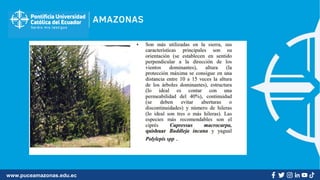 www.puceamazonas.edu.ec
 