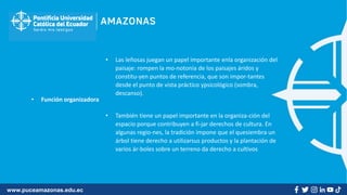 www.puceamazonas.edu.ec
• Función organizadora
• Las leñosas juegan un papel importante enla organización del
paisaje: rompen la mo-notonía de los paisajes áridos y
constitu-yen puntos de referencia, que son impor-tantes
desde el punto de vista práctico ypsicológico (sombra,
descanso).
• También tiene un papel importante en la organiza-ción del
espacio porque contribuyen a fi-jar derechos de cultura. En
algunas regio-nes, la tradición impone que el quesiembra un
árbol tiene derecho a utilizarsus productos y la plantación de
varios ár-boles sobre un terreno da derecho a cultivos
 