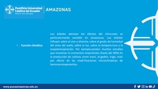 www.puceamazonas.edu.ec
• Función climática
Los árboles atenúan los efectos del clima;esto es
particularmente sensible en zonassecas. Los árboles
influyen sobre el aire y elviento, sobre el grado de humedad
del airey del suelo, sobre la luz, sobre la tempera-tura y la
evapotranspiración. Por ejemplo,existen muchos estudios
que muestran in-crementos importantes (hasta del 40%) En
la producción de cultivos como maní, al-godón, trigo, maíz
por efecto de las modi-ficaciones microclimáticas de
barrerasrompevientos.
 