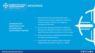 www.puceamazonas.edu.ec
Contribución de la
agroforestería en las
principales zonas
agroecoloógicas tropicales
1. Mantenimiento de la fertilidad del suelo y
reducción de la erosión mediante el aporte de
material orgánico, fijación de nitrógeno y
reciclaje de nutrientes
2. Conservación del agua (cantidad y calidad) al
favorecer la infiltración y reducir la escorrentía
superficial que podría contaminar cursos de agua
3. Captura de carbono, enfatizando el potencial de
los sistemas silvopastoriles; y
4. Conservación de la biodiversidad en paisajes
fragmentados (Casanova-Lugo et al., 2016))
 