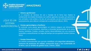 www.puceamazonas.edu.ec
• Sistema agroforestal :
Es el conjunto de técnicas de uso y manejo de la tierra que implica la
combinación de árboles forestales con cultivos agrícolas (anuales y/o perennes),
con animales o con ambos a la vez, en una parcela, ya sea simultáneamente o
sucesivamente, para obtener ventajas de la combinación.(Brack, 2015)
• Granjas agroecológicas y familiares
Se entiende como granja agroecológica un sistema asegura una alimentación
abundante y rica en proteínas, vitaminas y minerales (provenientes de la carne,
huevos, hortalizas, frutales, cereales, leche), desarrollándose con una constante
sostenible y autosuficiente a lo largo del tiempo con una gestión familiar (Salinas,
2012)
• Granjas Comunitarias
Un sistema autosostenible que permite contribuir a la seguridad alimentaria,
consumo de productos de calidad, producción local y uso sustentable de
la tierra, con un ámbito de gestión local, (Venini, 2020)
¿QUE ES UN
SISTEMA
AGROFORESTAL?
 