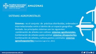 www.puceamazonas.edu.ec
Sistemas.- es el conjunto de prácticas distribuídas, ordenadas e
interrrelacionadas entre sí dentro de un espacio geográfico
limitado. los principales sistemas son los siguientes:
combinación de árboles con cultivos: sistemas agroforestales.
Combinación de árboles-pasto-animal: sistemas silvopastoriles.
Combinación de árboles, cultivos,pastos y animales: sistemas
agrosilvopastoriles (Casanova-Lugo et al., 2011)
SISTEMAS AGROFORESTALES
 