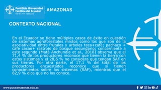 www.puceamazonas.edu.ec
CONTEXTO NACIONAL
En el Ecuador se tiene múltiples casos de éxito en cuestión
de sistemas agroforestales mixtos como los que son de la
asociatividad entre frutales y arboles teca+café; pachaco +
café cacao+ rastrojo de bosque secundario; concerniente a
este segundo (Mata Anchundia et al., 2018) observa que el
71,4 % de los productores reconoce que tienen la tierra con
estos sistemas y el 28,6 % no considera que tengan SAF en
sus tierras. Por otra parte, el 17,1 % del total de los
productores encuestados reconoce que sí tienen
conocimientos sobre los sistemas (SAF), mientras que el
82,9 % dice que no los conoce.
 