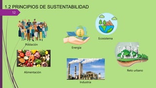 12
1.2 PRINCIPIOS DE SUSTENTABILIDAD
Población
Alimentación
Ecosistema
Energía
Industria
Reto urbano
 