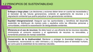 13
1.2 PRINCIPIOS DE SUSTENTABILIDAD
Enfoque a largo plazo: Las decisiones y acciones deben tener en cuenta las necesidades y
el bienestar de las futuras generaciones, evitando el agotamiento de recursos y la
degradación ambiental que podría perjudicar a las generaciones venideras.
Equidad intergeneracional: Asegurar que las oportunidades y beneficios del desarrollo
sostenible se distribuyan de manera justa y equitativa entre las diferentes personas y
comunidades, evitando la exacerbación de desigualdades existentes.
Eficiencia en el uso de recursos: Se debe hacer un uso eficiente de los recursos naturales,
minimizando el consumo excesivo y el agotamiento de recursos no renovables, y
fomentando prácticas de manejo sostenible.
Conservación de la biodiversidad: Mantener y proteger la diversidad biológica y los
ecosistemas, reconociendo su valor intrínseco y su importancia para el bienestar humano,
así como para la estabilidad de los sistemas naturales.
 