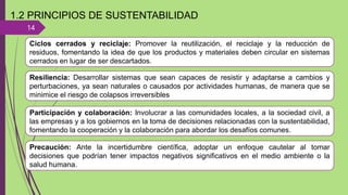 14
1.2 PRINCIPIOS DE SUSTENTABILIDAD
Ciclos cerrados y reciclaje: Promover la reutilización, el reciclaje y la reducción de
residuos, fomentando la idea de que los productos y materiales deben circular en sistemas
cerrados en lugar de ser descartados.
Resiliencia: Desarrollar sistemas que sean capaces de resistir y adaptarse a cambios y
perturbaciones, ya sean naturales o causados por actividades humanas, de manera que se
minimice el riesgo de colapsos irreversibles
Participación y colaboración: Involucrar a las comunidades locales, a la sociedad civil, a
las empresas y a los gobiernos en la toma de decisiones relacionadas con la sustentabilidad,
fomentando la cooperación y la colaboración para abordar los desafíos comunes.
Precaución: Ante la incertidumbre científica, adoptar un enfoque cautelar al tomar
decisiones que podrían tener impactos negativos significativos en el medio ambiente o la
salud humana.
 