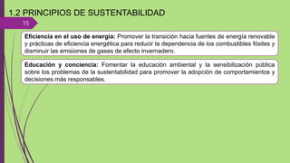 15
1.2 PRINCIPIOS DE SUSTENTABILIDAD
Eficiencia en el uso de energía: Promover la transición hacia fuentes de energía renovable
y prácticas de eficiencia energética para reducir la dependencia de los combustibles fósiles y
disminuir las emisiones de gases de efecto invernadero.
Educación y conciencia: Fomentar la educación ambiental y la sensibilización pública
sobre los problemas de la sustentabilidad para promover la adopción de comportamientos y
decisiones más responsables.
 